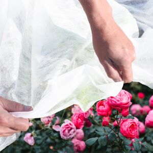 Protecție de iarnă albă pentru trandafiri, agrotextil în uz - Unelte de grădinărit