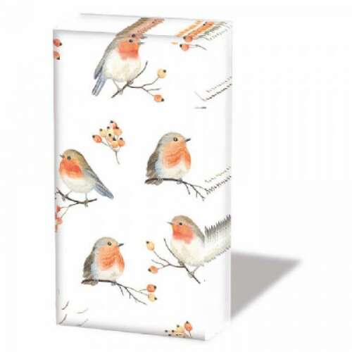 Robin Family karácsonyi papírzsebkendő csomag aranyos vörösbegy madarakkal