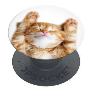 Suport telefon Popsockets Snoozy Cat 108735842 - Popsockets