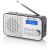 GoGEN DAB 300N tragbares DAB Radio, FM Empfänger, Digitalradio