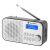 GoGEN DAB 300N tragbares Radio mit DAB+ und FM, silber und schwarz