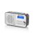 Radio GoGen Radio DAB+/FM GoGen DAB300N 108785138