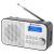 Radio GoGen Radio DAB+/FM GoGen DAB300N 108785138
