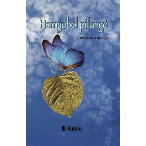 Hernyóból pillangó, Andrea Gyarmati könyvének borítója