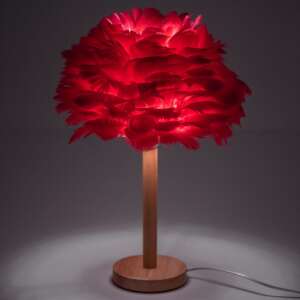 Red feather table lamp with wooden base - Table Lamp