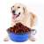 Linomag® Collapsible Silicone Pet Bowl, Blue, 650ml, dog eating from the bowl
