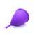Purple menstrual cup