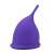 Purple menstrual cup