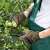 Man wearing green tactical gloves while gardening