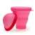 Sterilizator pentru cupa menstruală Linovit®, roz, 230 ml, din silicon, pliabil, cu capac