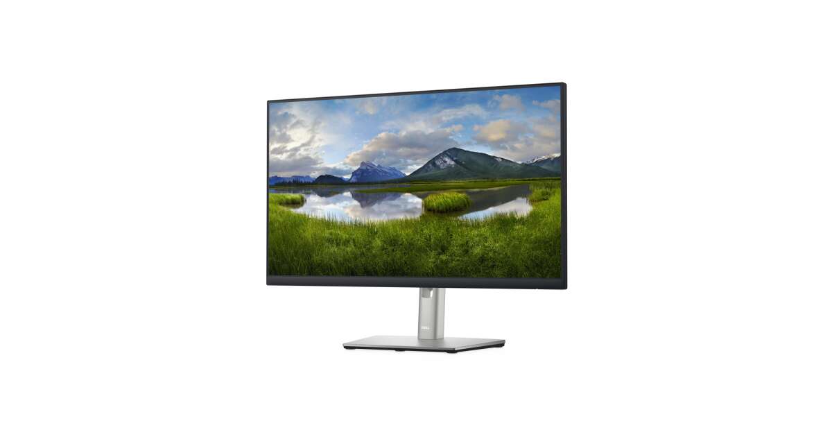 Dell P2422H, 210-AZYX LCD monitor, 24