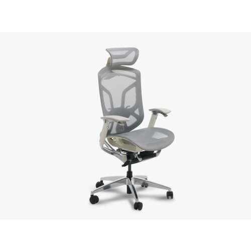GTCHAIR DVARY X ergonomikus irodaszék állítható fejtámlával, karfákkal és deréktámasz, szürke háló 