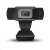 Platinet PCWC1080 Webcam, Full HD 1080p, eingebautes Mikrofon