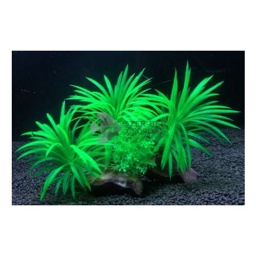 Zöld tengerifű telep akváriumi műnövény, apró levelekkel a talpon 15 cm