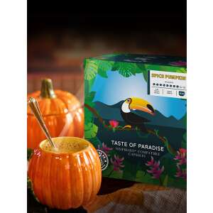 Pumpkin Spice Coffee in a Pumpkin Mug with Taste of Paradise Nespresso Compatible Capsules - Coffee capsule