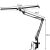 Adjustable Drafting Table Lamp / 2 Light Sources / Clamp and Stand 109489726