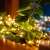 Home by Somogyi warm white battery-powered LED fairy lights with 20 bulbs, 2.1m long, wrapped around a plant