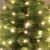 Home by Somogyi Warm White LED String Lights on Christmas Tree