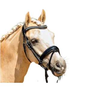 HB Ceres kantár Swarovski kristályokkal, fekete bőr, lovaknak - Kantár