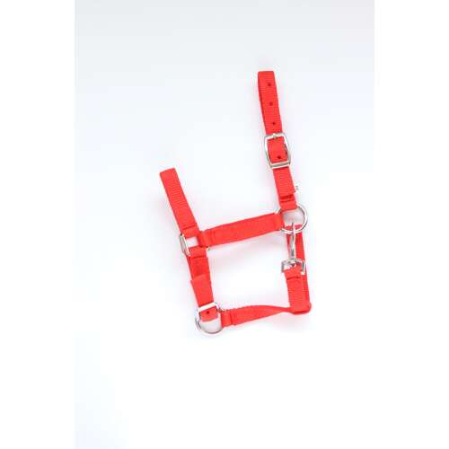HB Astrid csikó kötőfék, piros nylon kötőfék csikókhoz, állítható kötőfék csattal és karabinerrel