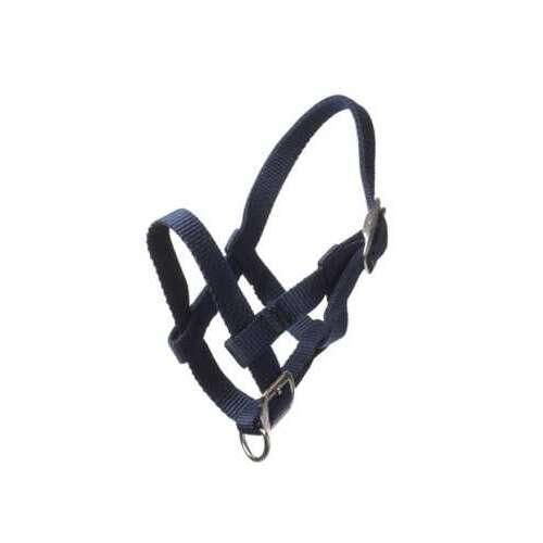 HB Adria Nylon kötőfék, kék, állítható, lovakhoz