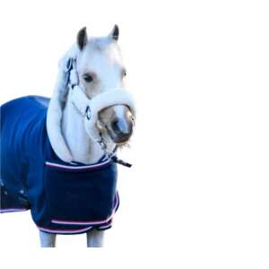 HB Showtime Lótakaró - Polár - 400g