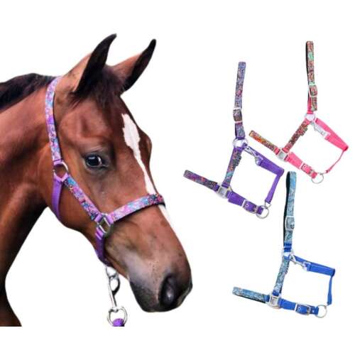 HB Fantasy ló kantár párnázott fejrészel és orrszalaggal, több színben kapható
