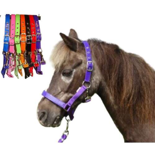 Lila nylon ló kötőfék állítható pántokkal és pattintós kampóval, HB Celzi márka