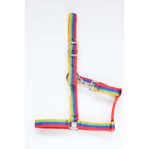 HB Pónikötőfék - Szivárványos - Shetlandi/Walesi Póni