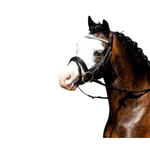 HB Luxus Kantár - Pony Méret