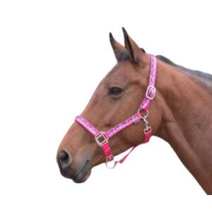 Lovaknak Bermuda Kötőfék - Puha Béléssel