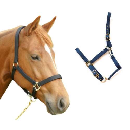 HB Reni ló kötőfék, kék nejlon kötőfék állítható pántokkal és réz csatokkal