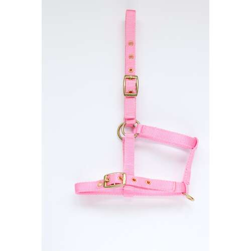 HB Amika Csikó Kötőfék - Állítható, Levehető Orrszíjjal