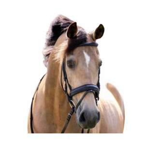 HB Bonfire Díjlovagló Kantár - Széles Orrszalaggal