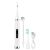 DentaShine Electric Toothbrush and Tartar Remover with accessories