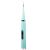 DentaShine Electric Toothbrush and Tartar Remover in mint color
