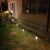 LED string lights illuminating a garden at night