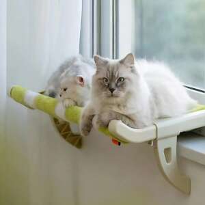 Két macska pihen a zöld és fehér ablakperemre rögzíthető macskaágyon - Macska fekhely