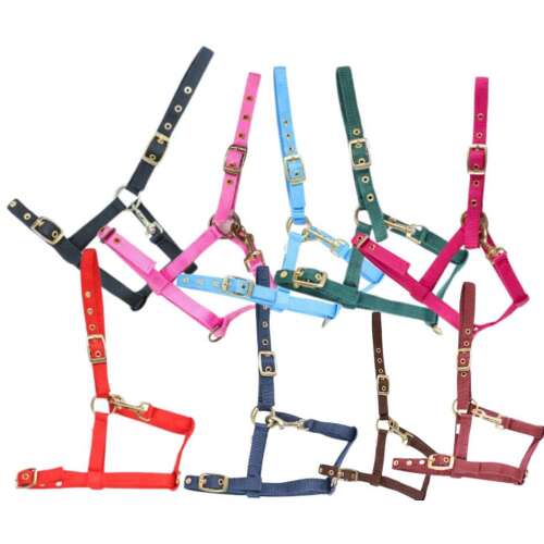 HB Princess csikó kantár, állítható nylon kantár csikóknak, több színben kapható