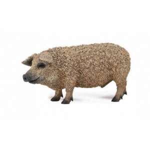 Collecta Magyar Mangalica Szarvasmarha Figura, a Mangalica sertés realisztikus részletes modellje, tökéletes a farmi állatok gyűjteményéhez - Collecta