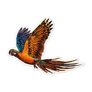 Avenir Scratch Art Vogel Aufkleber - Fliegender Ara - Kunst & Hobby
