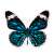 Részletes kék és fekete pillangó matrica az Avenir Scratch Art-tól