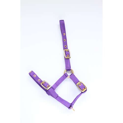 Lila nylon kötőfék lovaknak, állítható, arany csatokkal