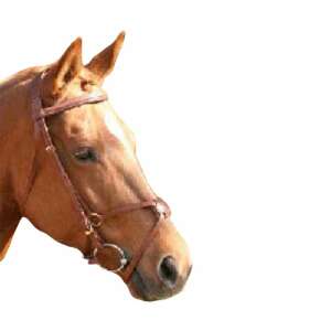 Mexikói Lovas Kantár - Aranyozott Csatokkal