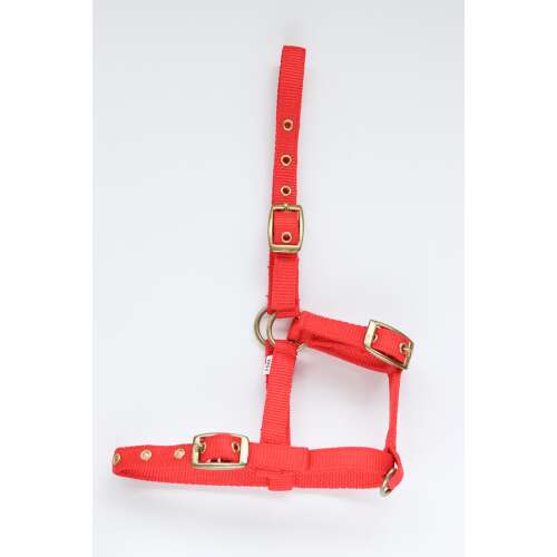 Piros nejlon kötőfék lovaknak, állítható, réz csatokkal