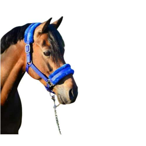 HB Casper Lókötőfék - Teddy Béléssel - Kék