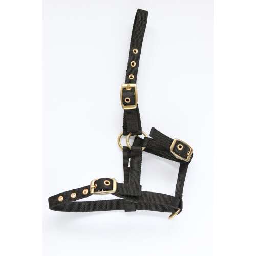 HB Amika Csikó Kötőfék - Állítható, Nejlon