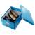 LEITZ Click&Store A4 Aufbewahrungsbox, blau, mit Schuhen im Inneren
