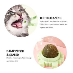 Mercaton Macskamenta Labda - Interaktív Játék - 5,5 cm