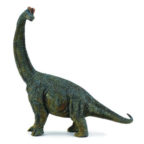 Collecta Brachiosaurus Deluxe dinoszaurusz figura